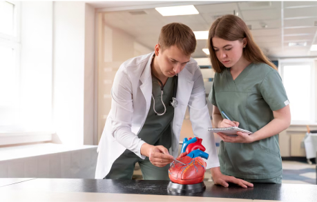 صورة المقال